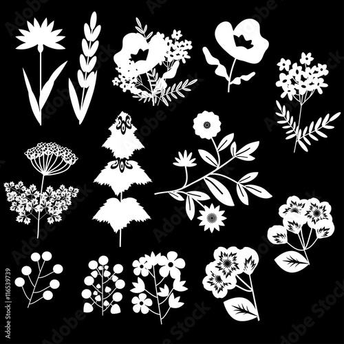 Foto Flowers decorative set