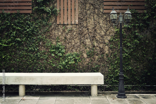 Electric light lamp post on wall leaves vintage background