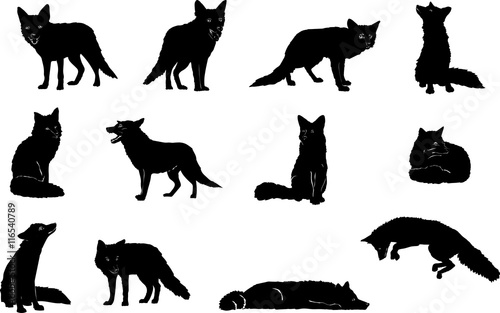 Fox, jumping, vector, silhouette, set, white, illustration, black, symbol, icon, animal