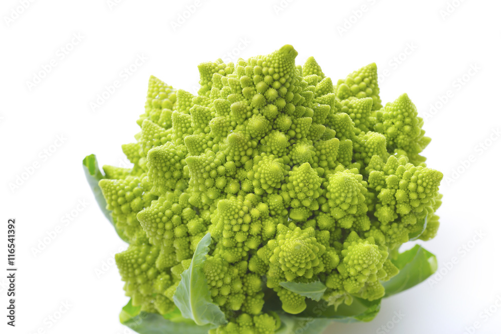 ロマネスコ Romanesco broccoli ロマネスコ Romanesco broccoli