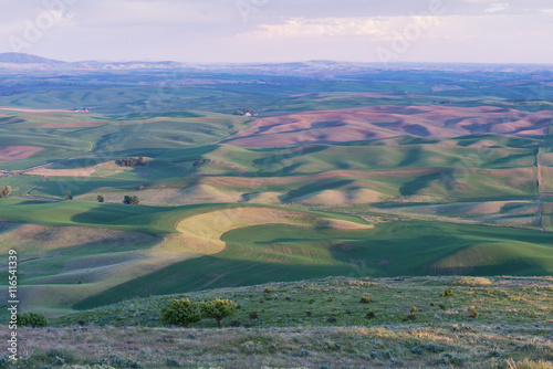 Farmland photo