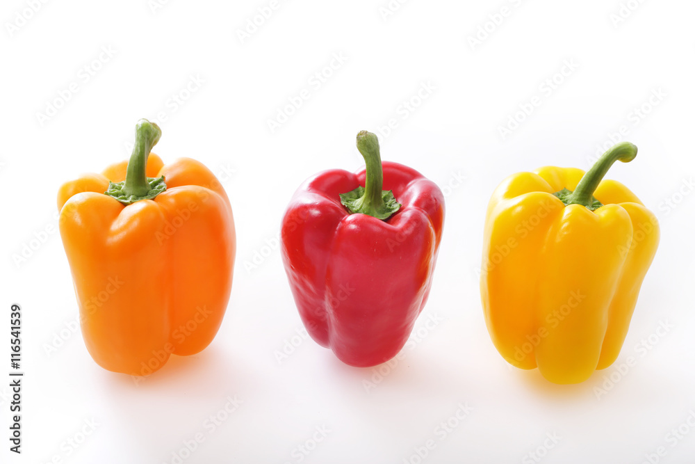 パプリカ Capsicum