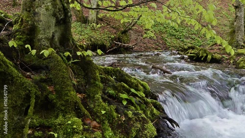 Mountain stream with stones close up in wood