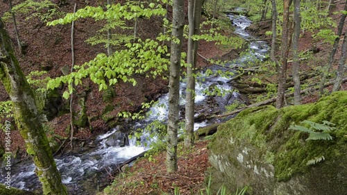 Waterfall in the mountains near the village Pylypets, Carpathians