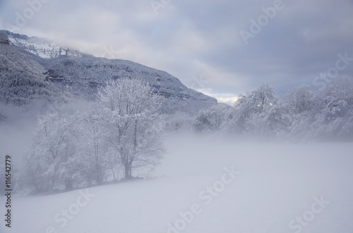 Brouillard et neige en montagne © reivax38000
