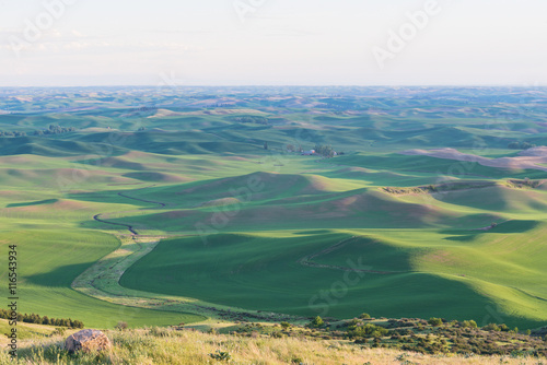 Farmland photo