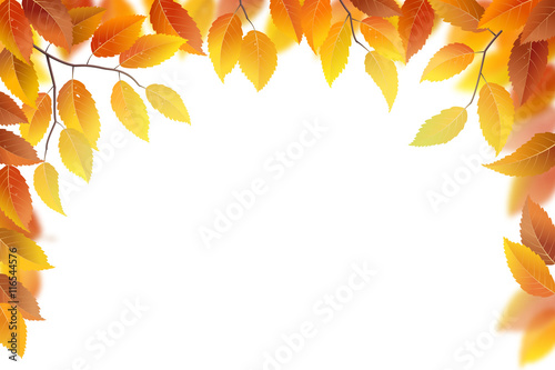 Autumn branches frame with leaves on white background