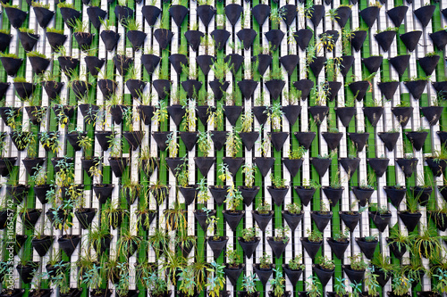 Green wall of plants in Ljubljana © xbrchx
