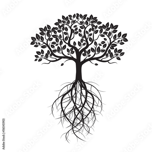 White Old Tree and Roots. Vector Illustration.