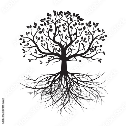 Black Old Tree and Roots. Vector Illustration.