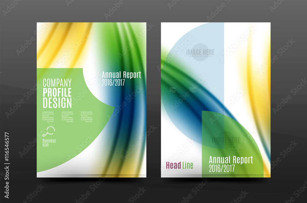 Fototapeta premium A4 size annual report business flyer cover
