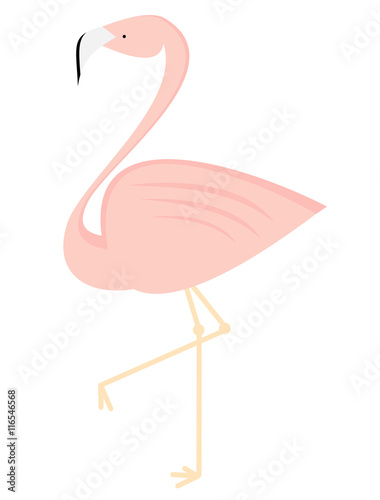 cute flamingo isolated on white background vector illustration    