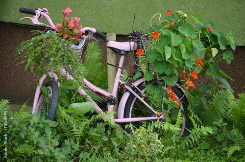 rower w kwiatach