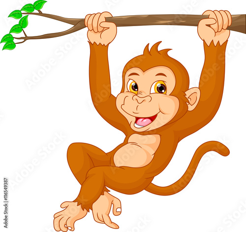 Cute monkey cartoon 