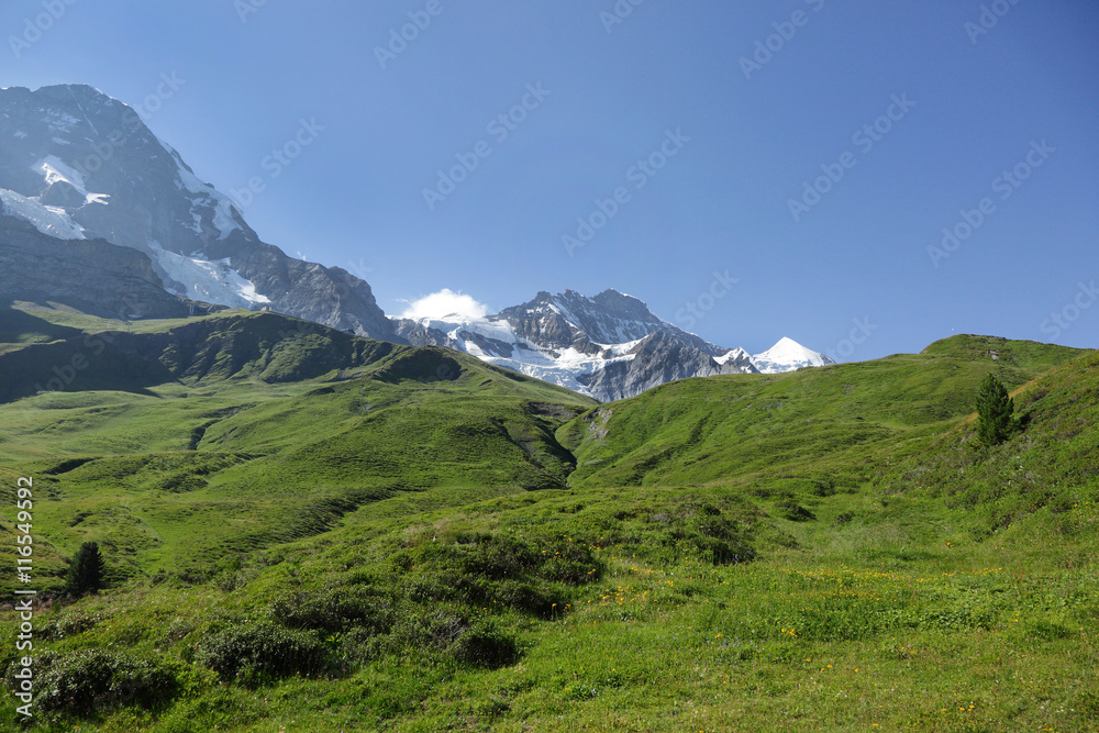 Jungfrau alps mountain in Jungfrau region of Switzerland