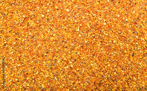 pollen grains texture