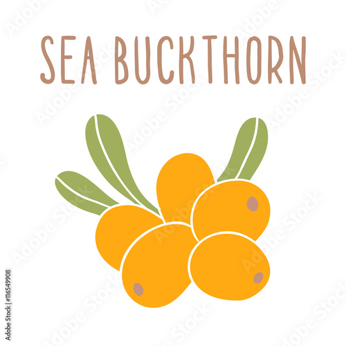 Sea buckthorn superfood