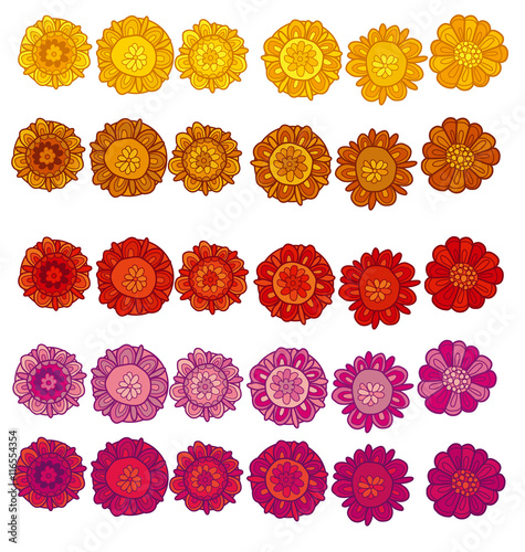 decorative stylized marigol...