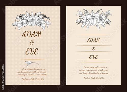 Fototapeta Naklejka Na Ścianę i Meble -  Lily flower card vector by hand drawing.Lily card vintage style.