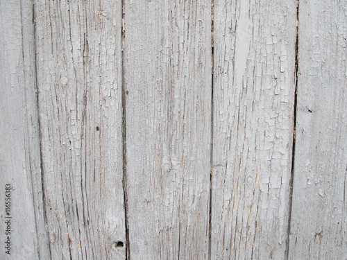 Old grey surface, wooden texture