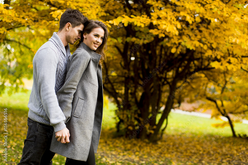 Couple in autumn park