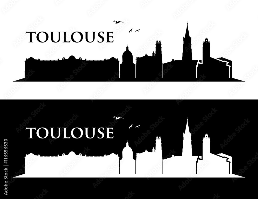 Obraz premium Toulouse skyline