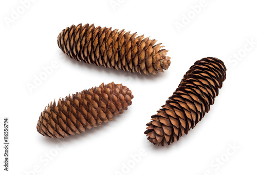 three pine cones on a white background