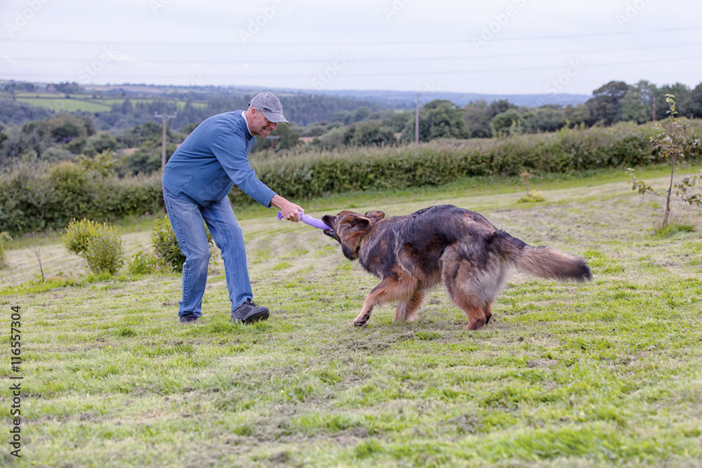 Man playing tug of war with his dog outside on the grass Man playing tug of war with his dog outside on the grass