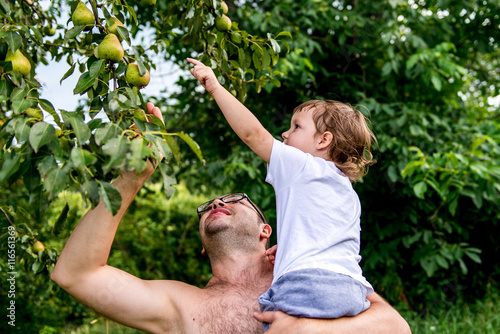 the child picks a pear tree