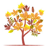 Abstract autumn tree with watercolor maple, oak, chestnut leaves. Vector fall illustration. 