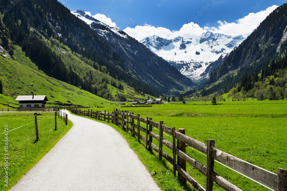 Mountain scenery way and wooden fence in Stilluptal Mayrhofen Austria Tirol