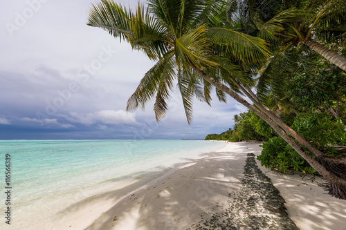 Maldives beach