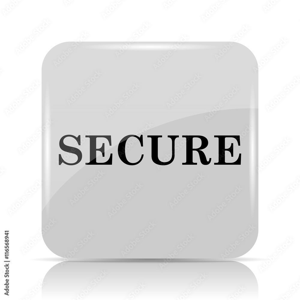 Secure icon