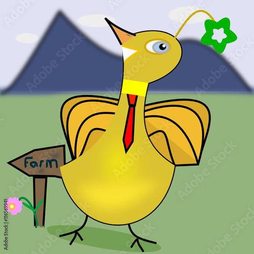 Pájaro loco en el campo