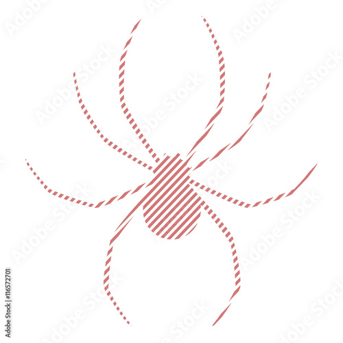 Spider illustration