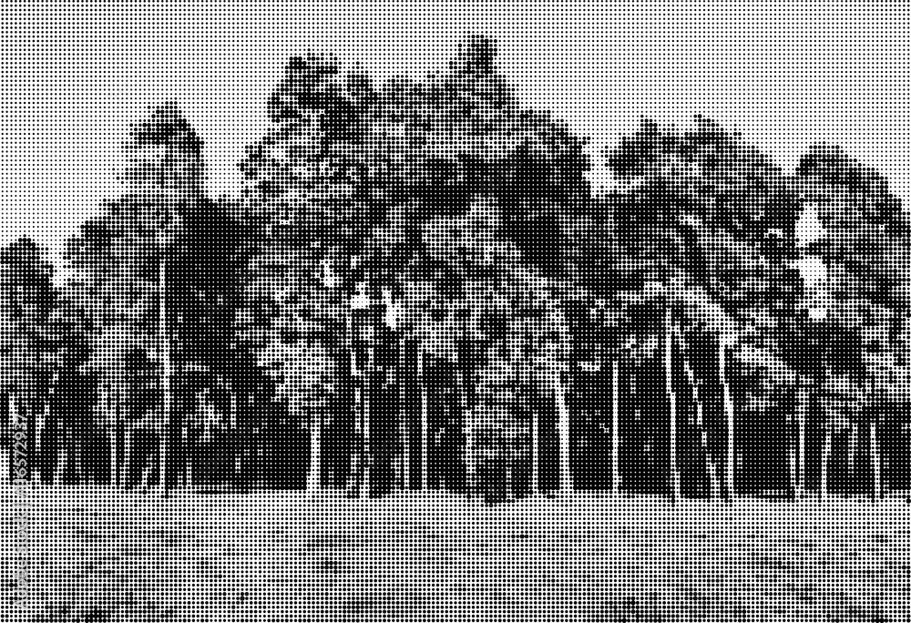 Trees halftone black and white wector illustration