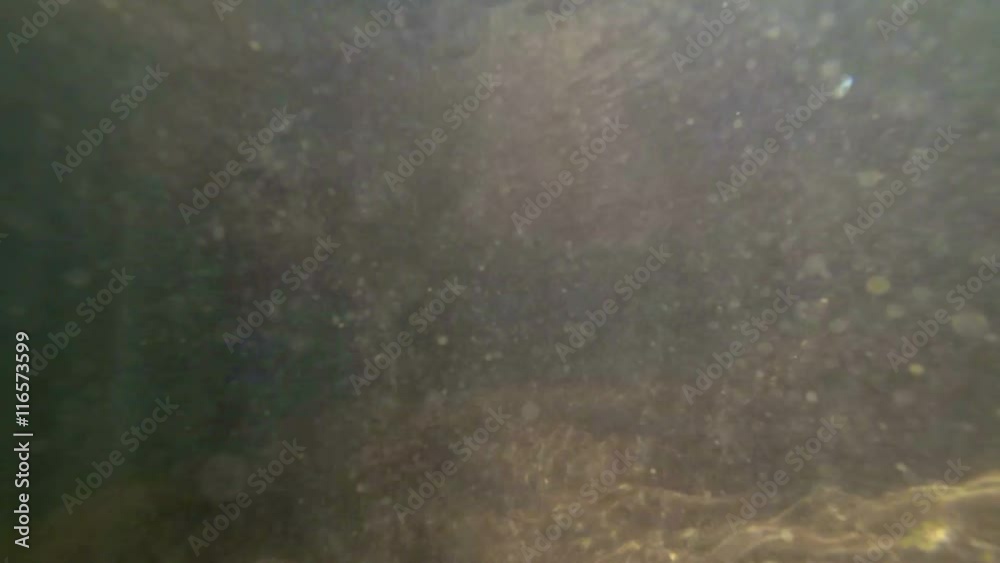 Video 1080p - Man's hand, recorded from a submarine perspective, plunging into the cool, clear water of a Thai mountain stream. Video 1080p - Man's hand, recorded from a submarine perspective, plunging into the cool, clear water of a Thai mountain stream.