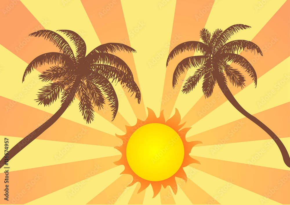 Vector Illustration. Palm trees and sun.