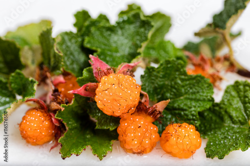 Fresh ripe salmon berries with leaves photo