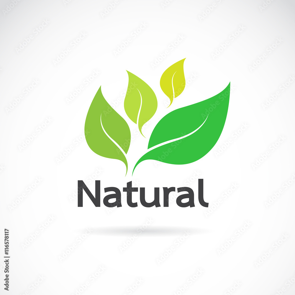 Natural logo design vector template on white background. Leaf ic