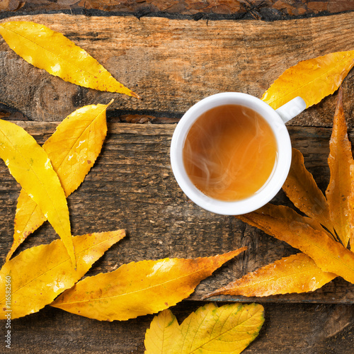 Tea cup in autumn leeves photo