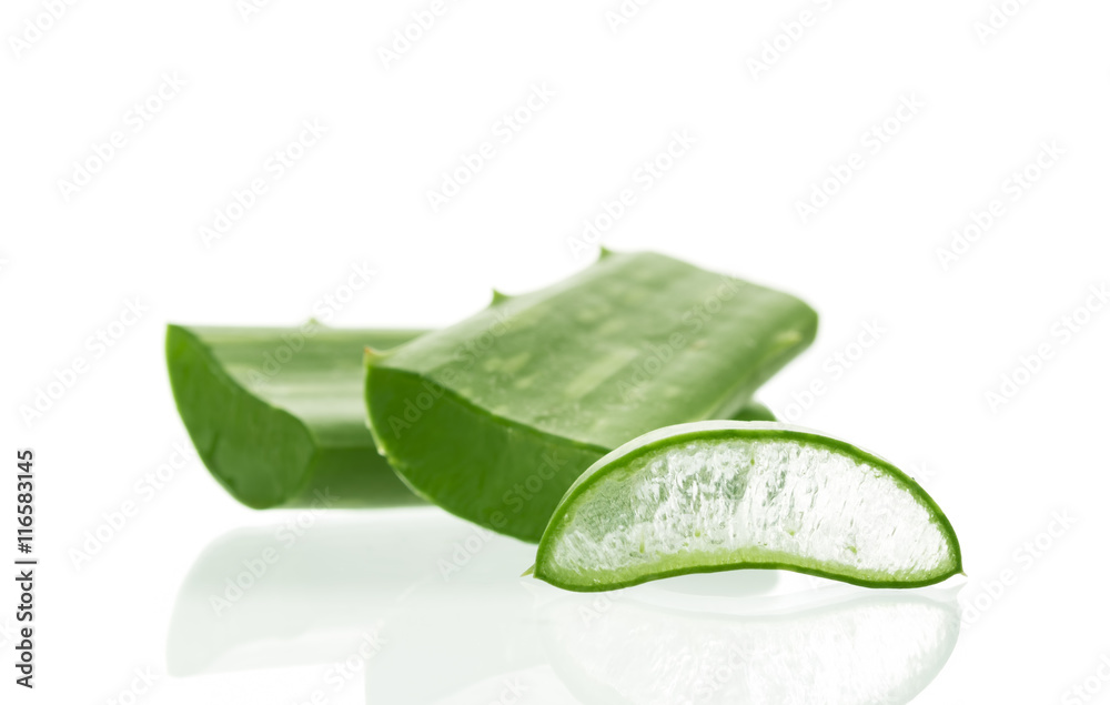 Obraz premium aloe vera