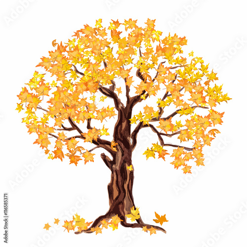Isolated watercolor dry tree with yellow leaves on white background. Fall, autumn, spring nature. Fine tree. Yellow leaves falling.