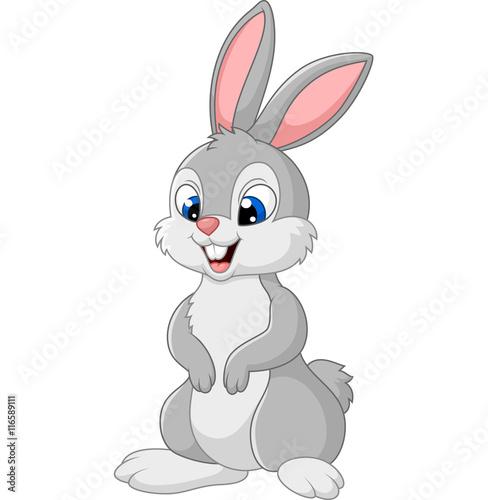 Cute littile bunny isolated on white background 