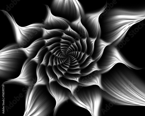 Black and white fractal. Abstract fractal. Fractal art background for creative design. Decoration for wallpaper desktop, poster, cover booklet, card. Psychedelic. Print for clothes, t-shirt.