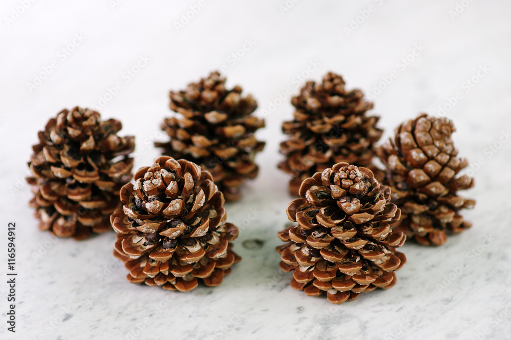 Set of six pine cones Set of six pine cones
