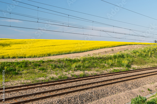 Electrified double track with rapeseed field