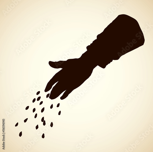 Hand sowing seed in plowed field. Vector drawing
