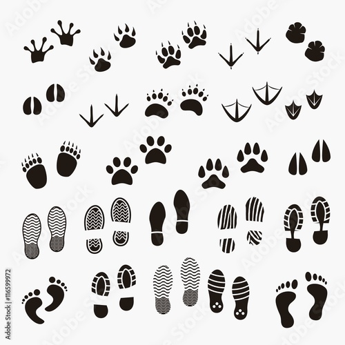 Footprints shadows of animals and human