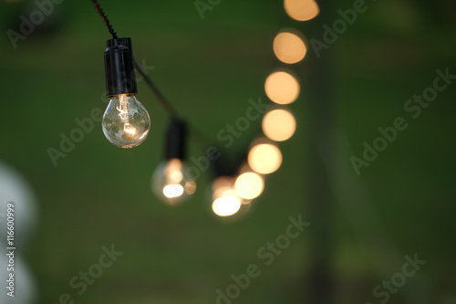 Torse of filament lamp in evening park